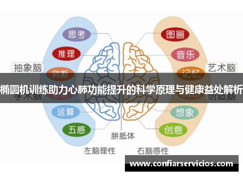 椭圆机训练助力心肺功能提升的科学原理与健康益处解析