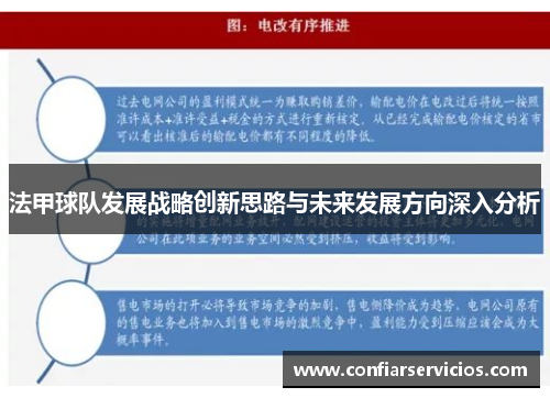 法甲球队发展战略创新思路与未来发展方向深入分析